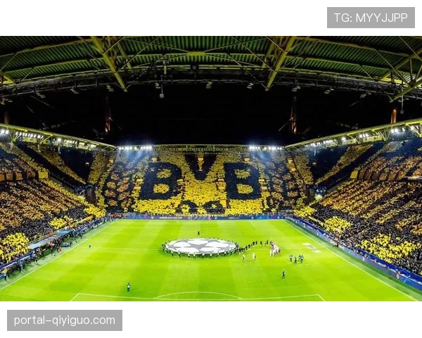 多特蒙德球场推出多语言导游服务 提升参观体验